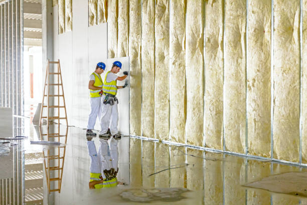 Best Insulation Maintenance and Repair in Martinsville, NJ